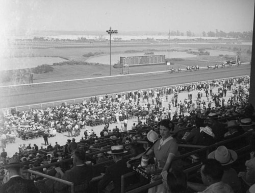 Cigarette girl and boxes at Hollywood Park