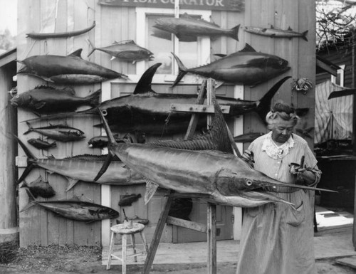 Woman preserves swordfish