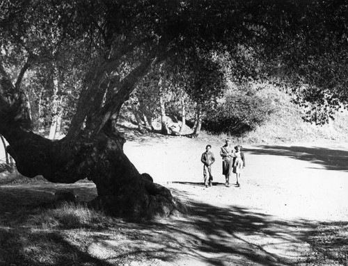 David Fraser and Alice and Helen Flint by "Oak of Golden Dreams" in Placerita Canyon Park