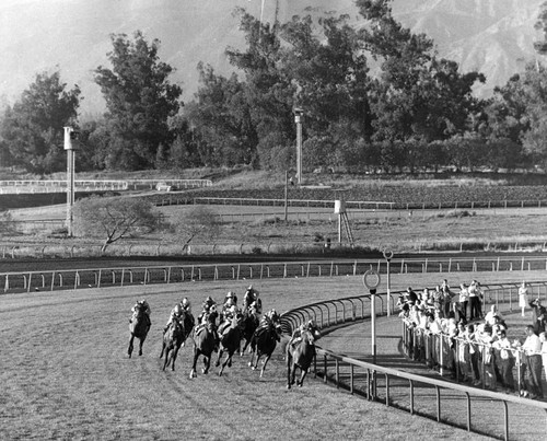 Grass racing