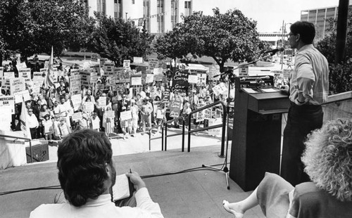 Gun restriction protest