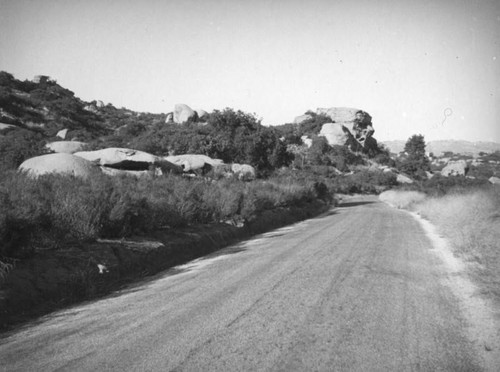 Twin Lakes Park road