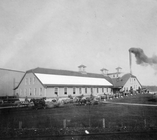 Farmers delivering milk