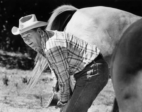 Ronald Reagan with horse