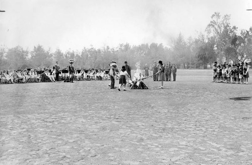 Youth groups plant Sequoia in N.H. Park