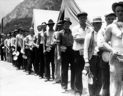 Civilian Conservation Corps reforestation, view 6