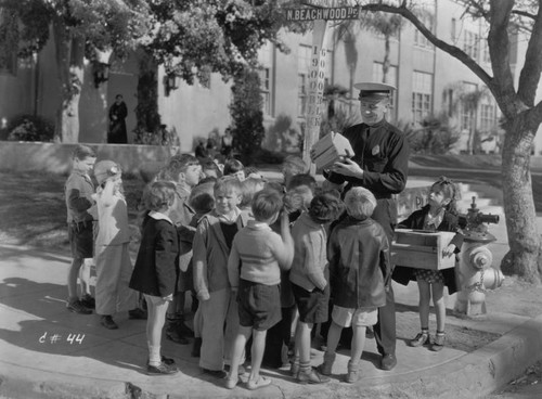 School crossing guard