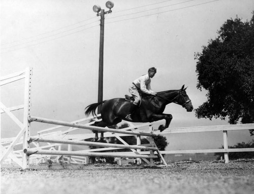 Horse jumping