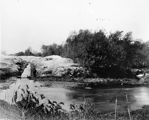 Irrigation ditch at L.A. River