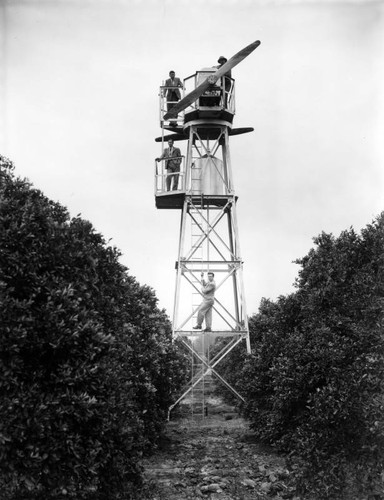 Citrus grove wind machine