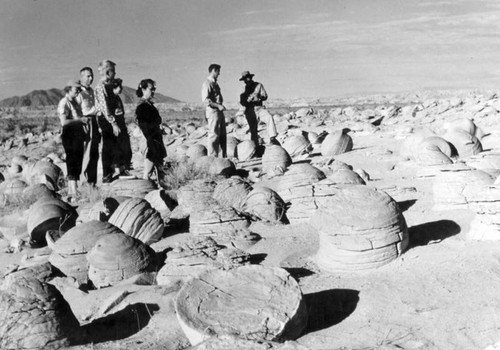 Anza-Borrego's a wild, wild desert