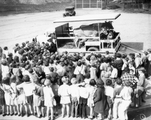 Dairy demonstration