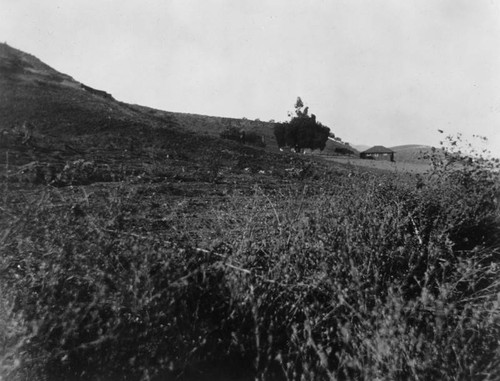 View of Hollywood