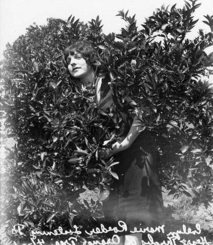 Woman posing with orange tree, view 1