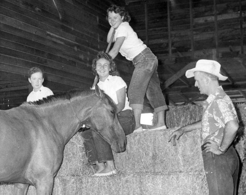 Operation haylift at boys' home