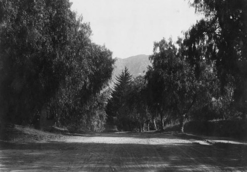 Orange Grove Blvd. in Pasadena