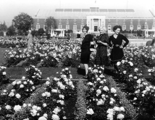 Three women in rose garden