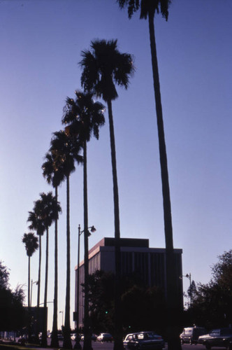 Office building, Wilshire and Windsor boulevards