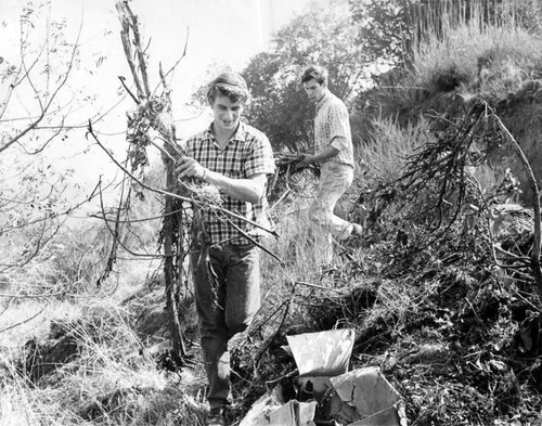 Valley youths clean litter as punishment