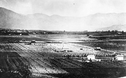 Cultivated fields in Pasadena