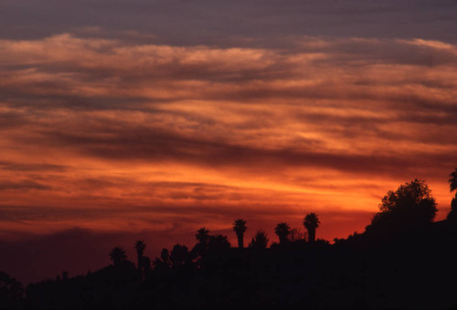 Pacific Palisades at sunset