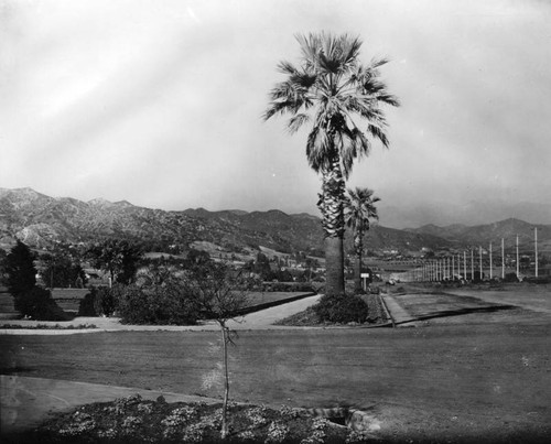 Intersection in Beverly Hills