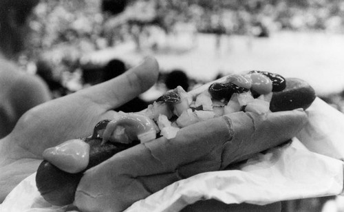 "Downtown Dog", Staples Center