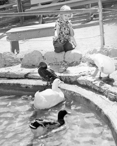 Griffith Park Zoo trip