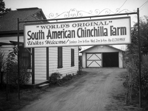 Chapman Chinchilla Farm sign