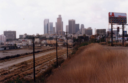 Abandoned Cornfield, view 1