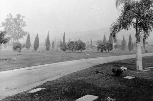 Forest Lawn Cemetery graves