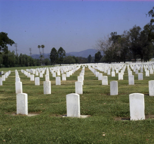 Veteran's Administration Cemetery