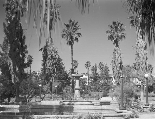 Will Rogers Memorial Park, Beverly Hills