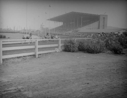 Harness racing at the Los Angeles County Fair