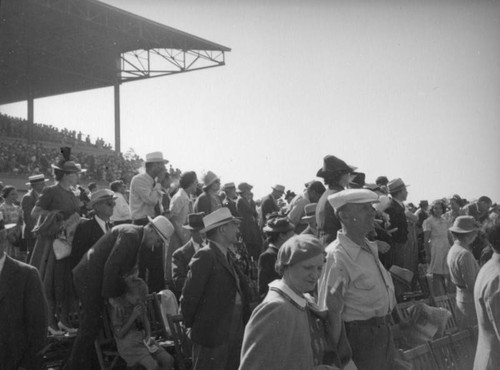 Standing to watch a race at Hollywood Park