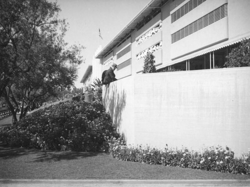 Sitting on a wall, Santa Anita Racetrack