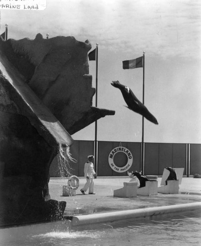 Sea lion show at Marineland