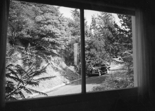 Hollywood Street seen through a window