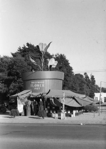 Hollywood Flower Pot