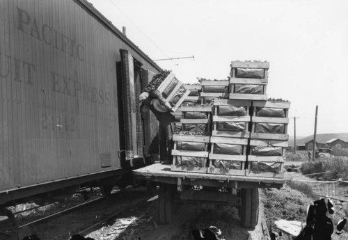 Celery transport