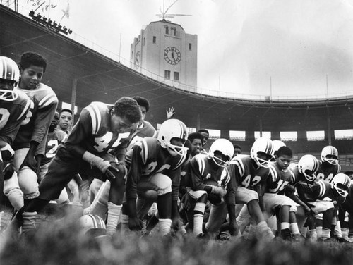 Recreation project at Wrigley Field