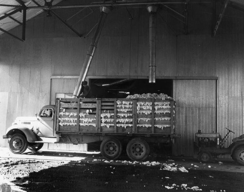 Cotton gin, view 7