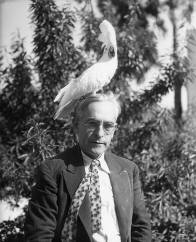 Man with cockatoo