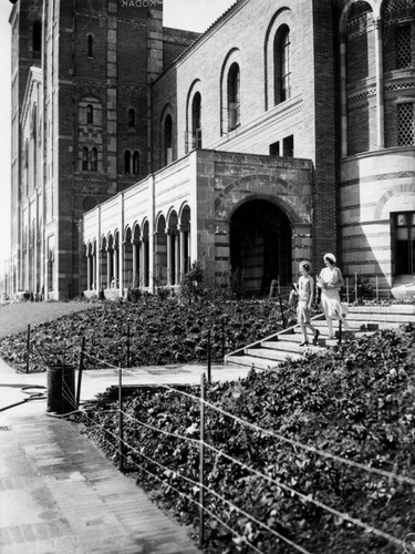 Royce Hall, U.C.L.A. campus, view 22