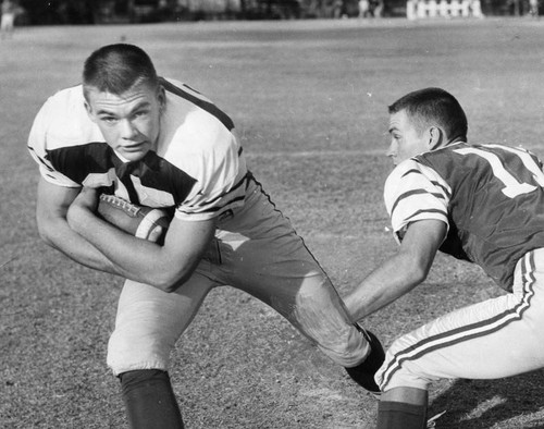 Husky back, player-of-the-year