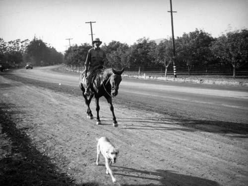 Santa Barbara road