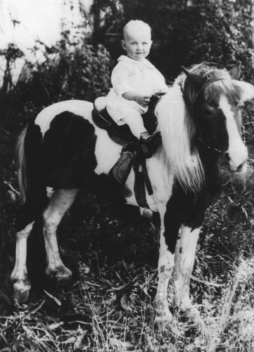 Child on pony