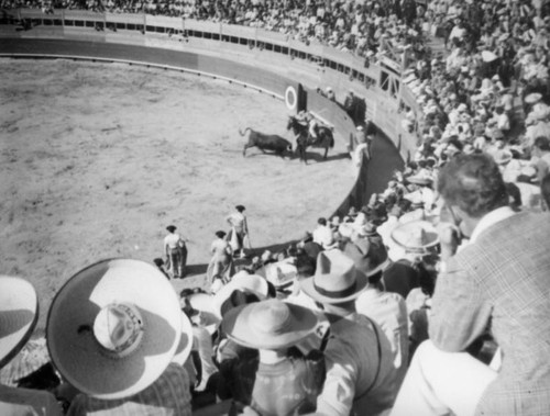 Toro versus Picador, El Toreo de Tijuana