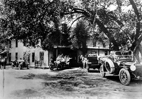 Old oak tree, Ojai Inn