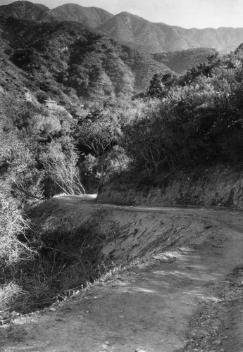 Mountains near Pasadena